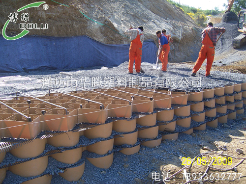 土工格室施工現場
